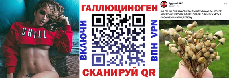 Псилоцибиновые грибы Cubensis  мориарти какой сайт  Алушта  где купить наркоту 